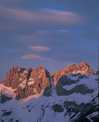 Mugoni, Dolomiti, Italia