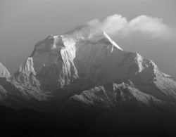 Dhaulagiri, Alba con Nuvola, Himalaya, Nepal
INFO