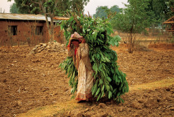 Woman in Tumlingtar, Nepal