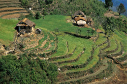 Nepali homes in the Makalu area