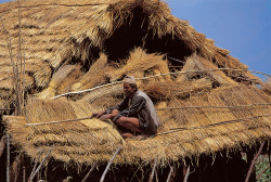 Nepali home in the Makalu area