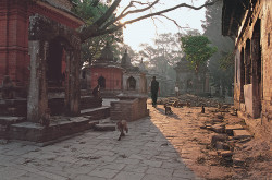 Pashupatinath, Kathmandu, Nepal