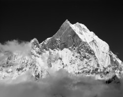 Machapuchare, Tramonto, Himalaya, Nepal
INFO