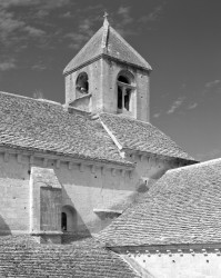 Abbazia di Sénanque, Campanile, Provenza, Francia
INFO