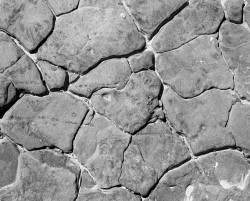 Rocce a Mattonelle, Weston Beach, Point Lobos, California, U.S.A.
INFO