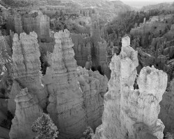 Fairyland Point, Bryce Canyon National Park, Utah, U.S.A.
INFO