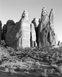 Guglie, Arches National Park, Utah, U.S.A.
INFO