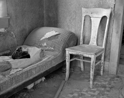 Bodie, Letto, Casa Miller, California, U.S.A.
INFO