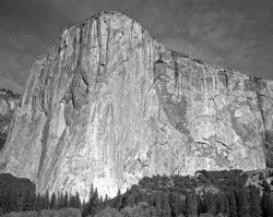 El Capitan, Mattino, Orizzontale, Yosemite National Park, California, U.S.A.
INFO