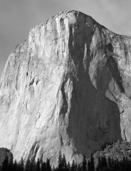 El Capitan, Pomeriggio, Yosemite National Park, California, U.S.A.
INFO