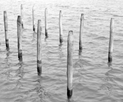 Pali di Ormeggio, Isola della Giudecca, Venezia, Italia
INFO