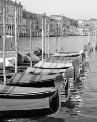 Gondole sul Canal Grande, Venezia, Italia
INFO