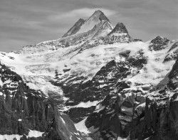 Schreckhorn e Grindelwaldgletscher, Svizzera
INFO